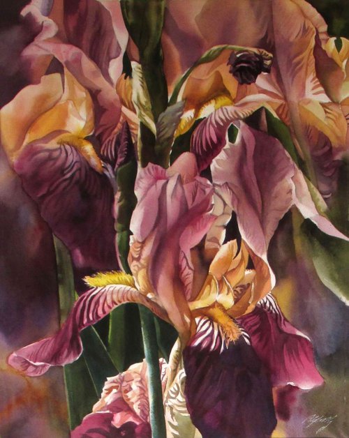 Dream of the irises by Alfred  Ng