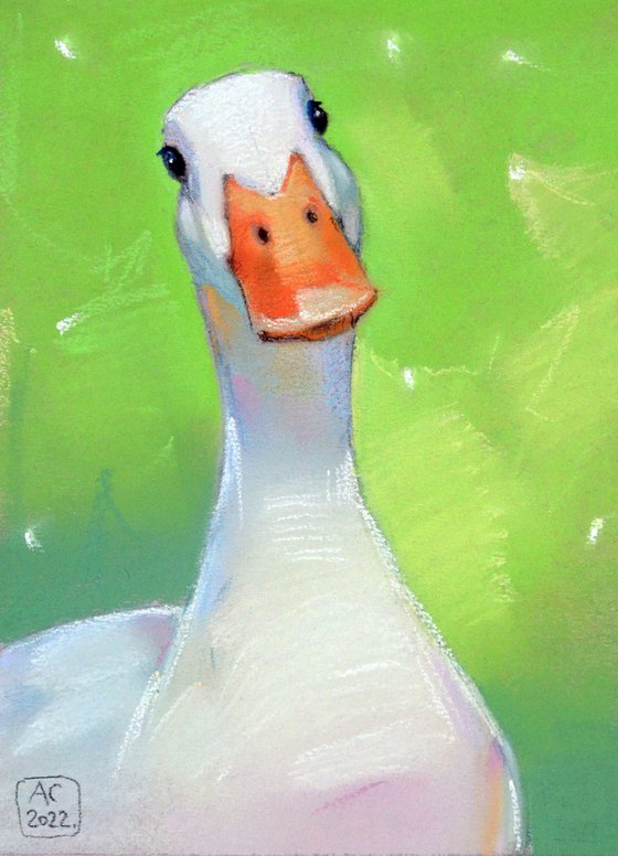 white goose