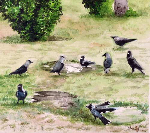 Crows by Shweta  Mahajan