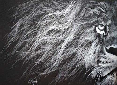 LION by Nicolas GOIA
