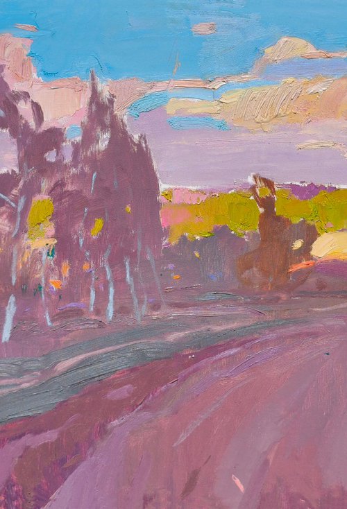 On Ukrainian lands by Alexander Shandor