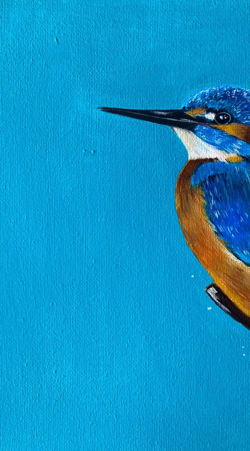 Kingfisher on blue acrylic painting by Bethany Taylor