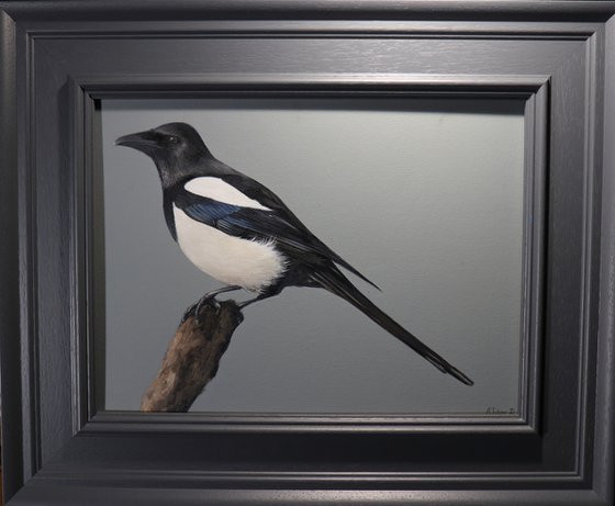 Magpie, Oil Painting, Bird Artwork, Animal Art Origina, Not Print