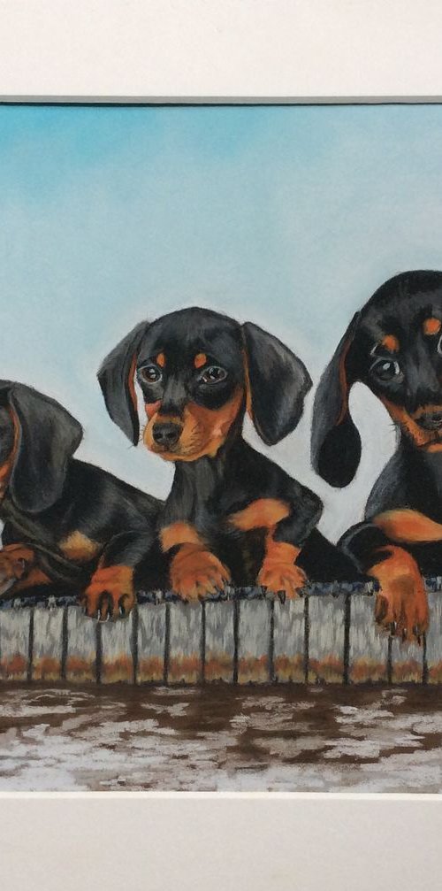 Pups on the Dock by Anne Shaughnessy