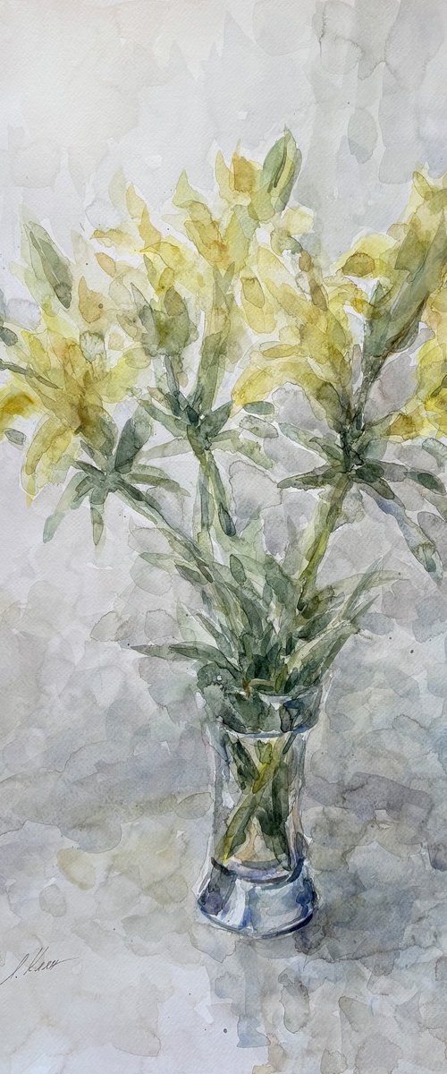 Lilies50x65 cm 2025 by Elena Klyan