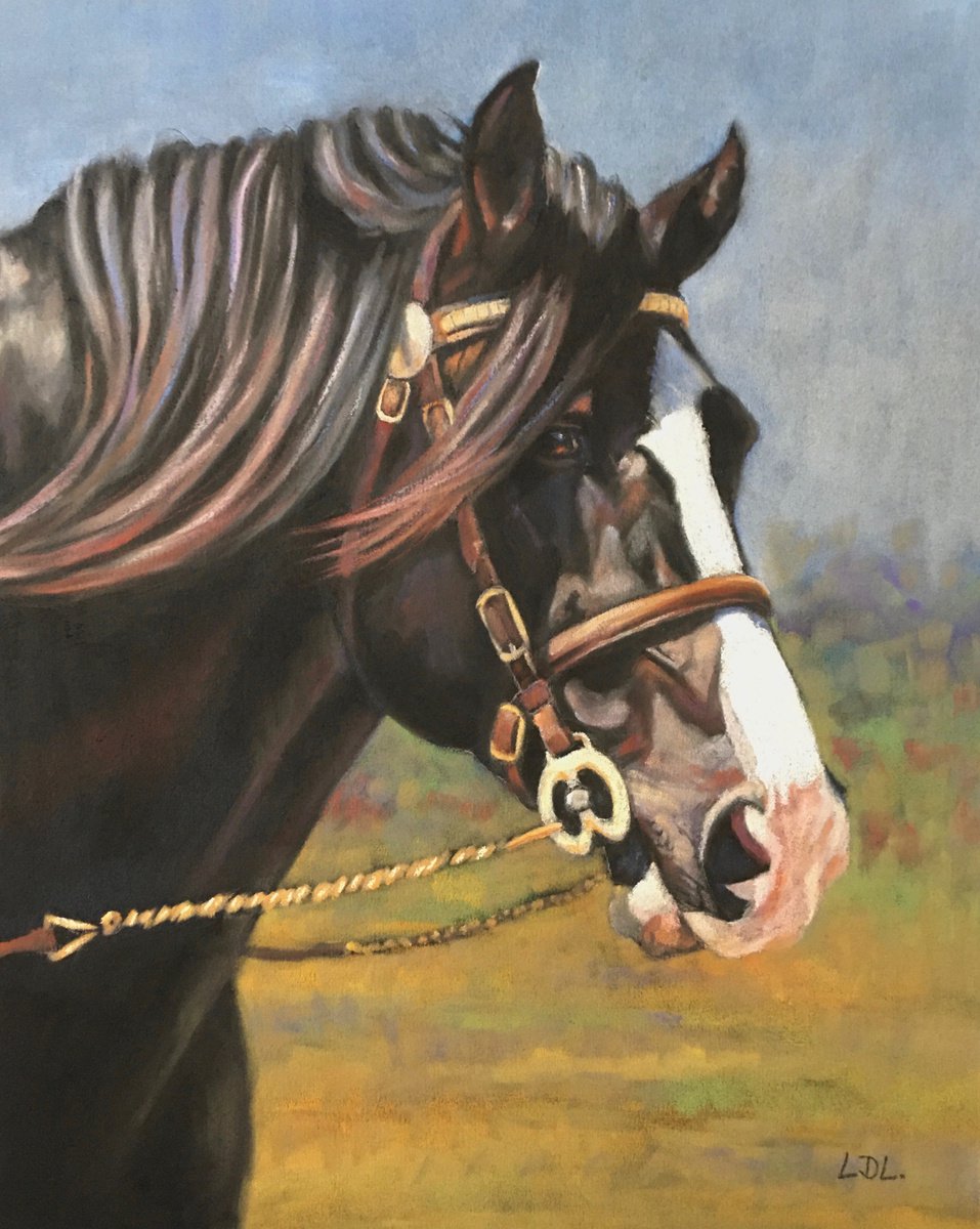 Welsh Cob Stallion Show Horse by Lorna Lancaster ASEA