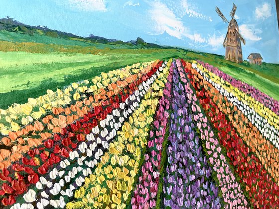 Chasing Rainbow - Tulip Field Holland