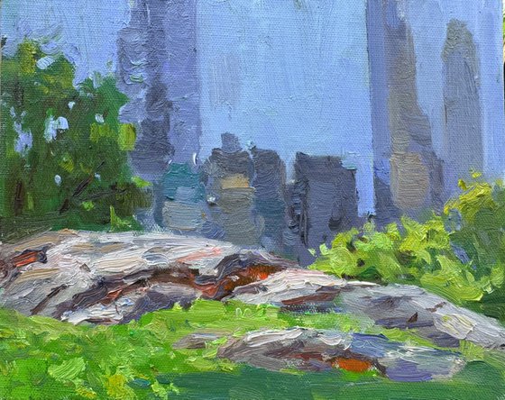 Rocks and Towers. Central Park