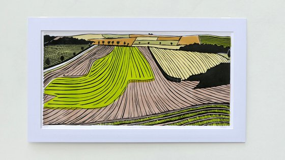 Ploughed Landscape