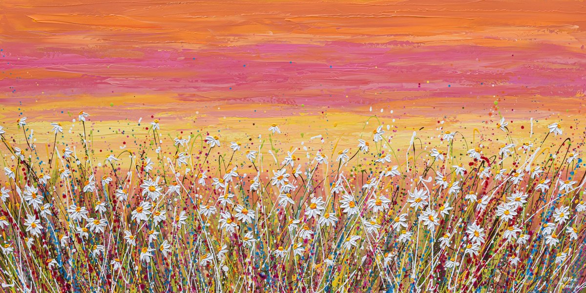 Daisy Field at Sunset by Olga Tkachyk