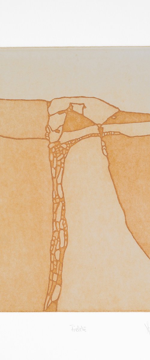 Fields 1 by Heike Roesel