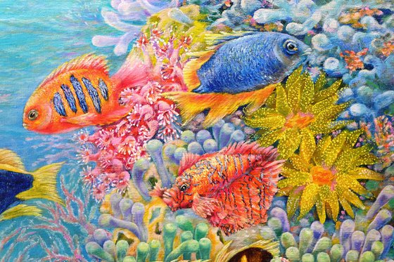 The Red Sea Reefs