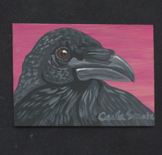 Crow Raven