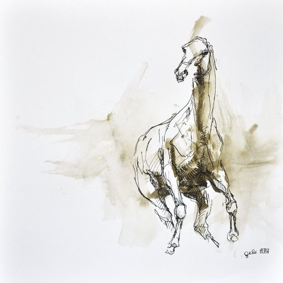 Equine Nude 149