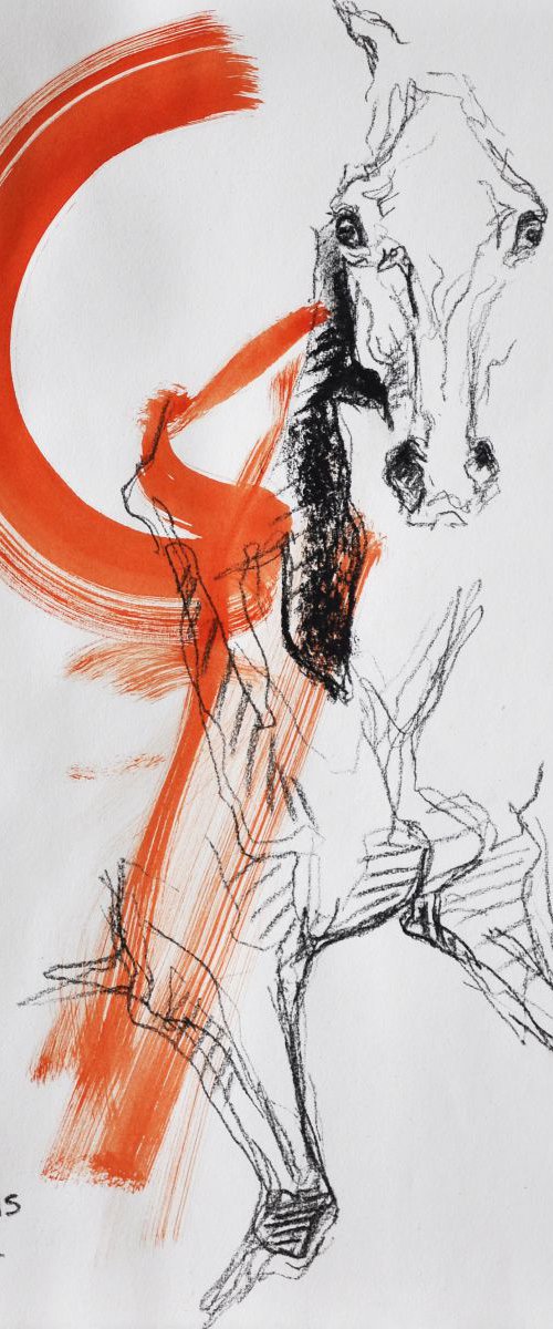 Equine Nude 13t by Benedicte Gele