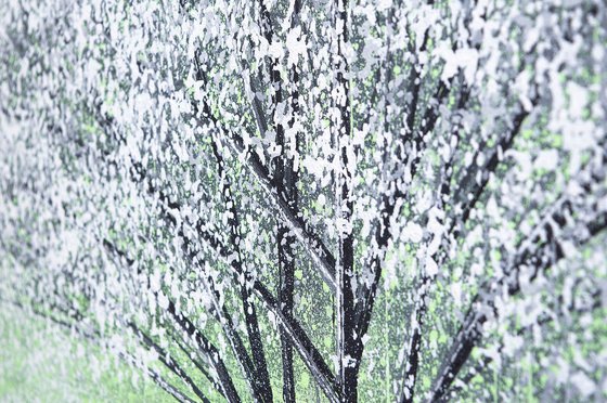 White Tree Blossom In Bright Light