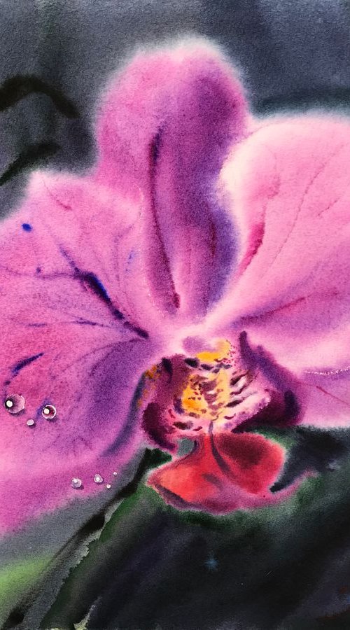 Lilac Orchid by Eugenia Gorbacheva