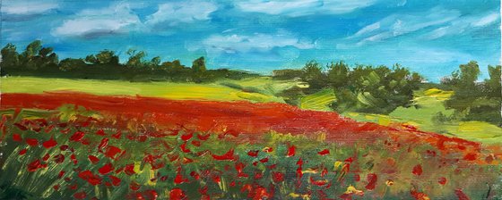 POPPIES FIELD V / ORIGINAL OIL PAINTING