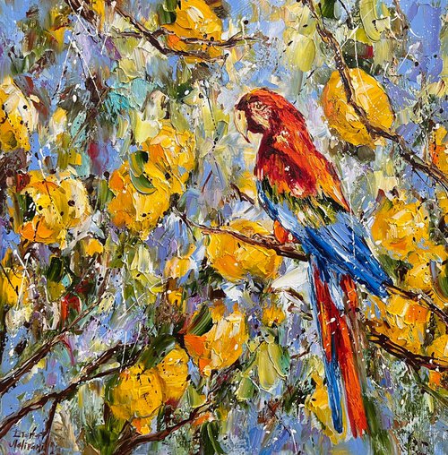 Parrot by Diana Malivani