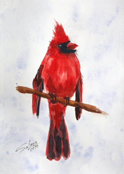 Cardinal IV - Bird portrait /  ORIGINAL PAINTING by Salana Art Gallery