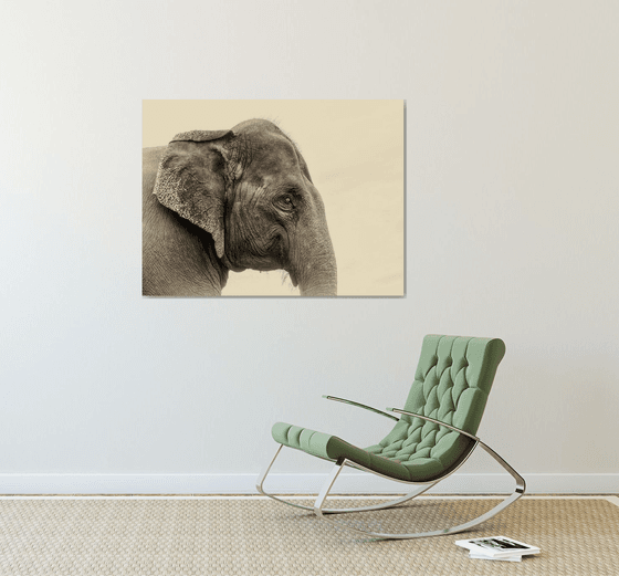 ELEPHANT WISDOM