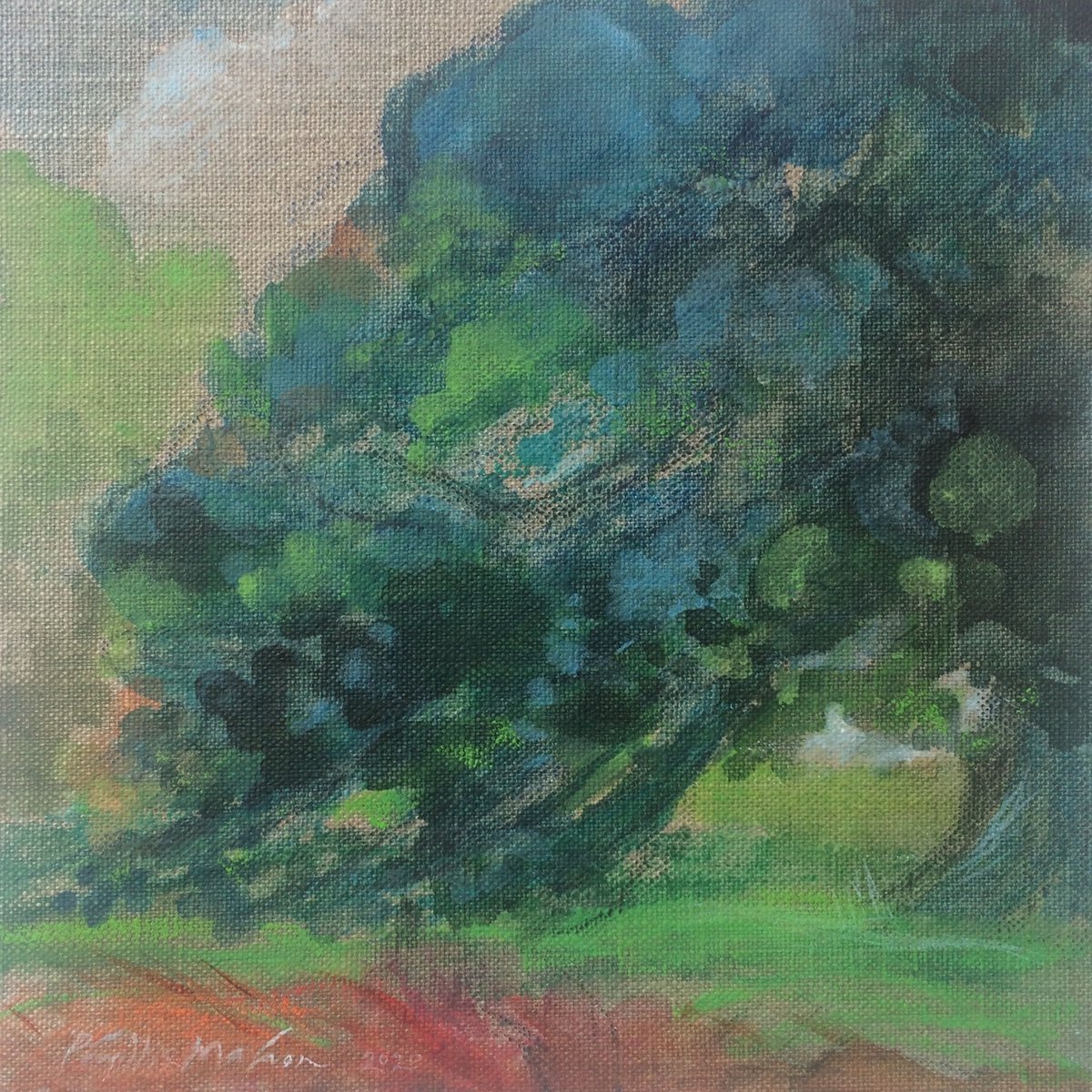 Beech Tree Blue by Phyllis Mahon