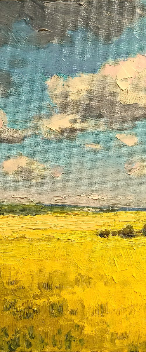 Ukrainian landscape by Oleh Rak