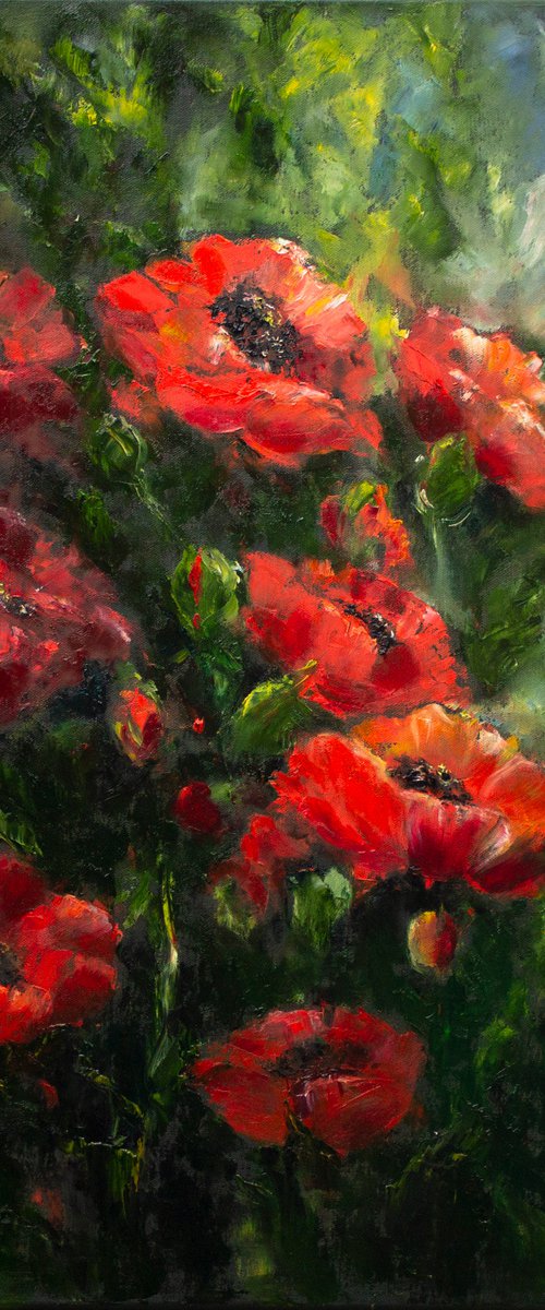 In love with poppies by Mila Moroko
