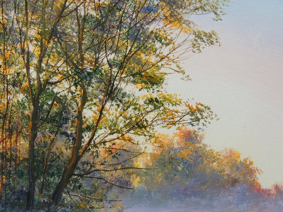 Fog Over the Meadow