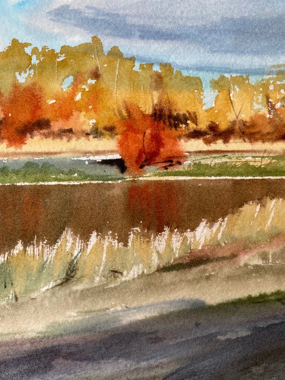 Autumn Gold