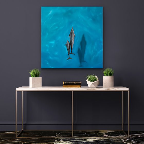 Sea Dreams