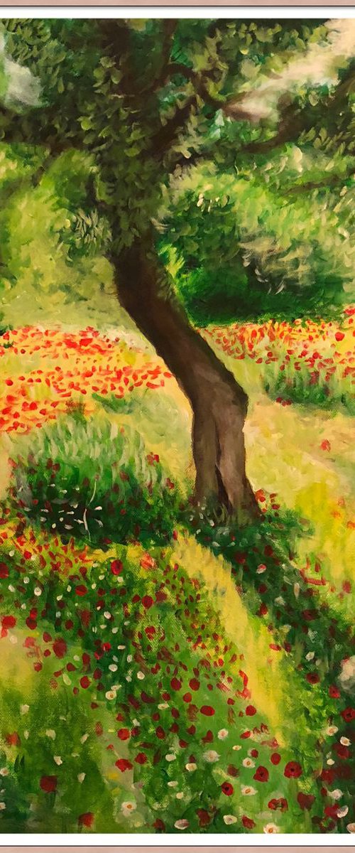 Wild poppies And a Tree 🌲 by Shabs  Beigh