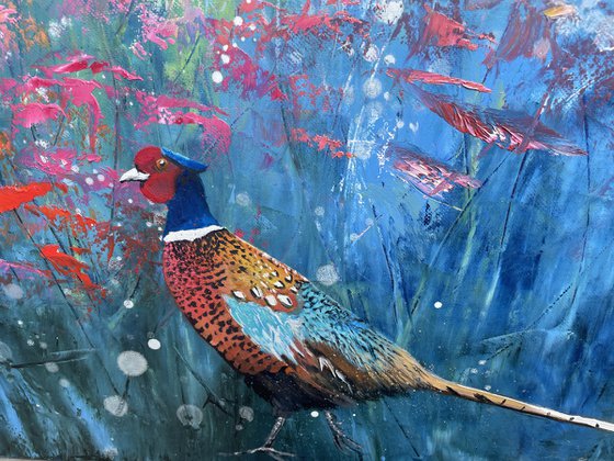 Ring-necked Pheasant at Dawn