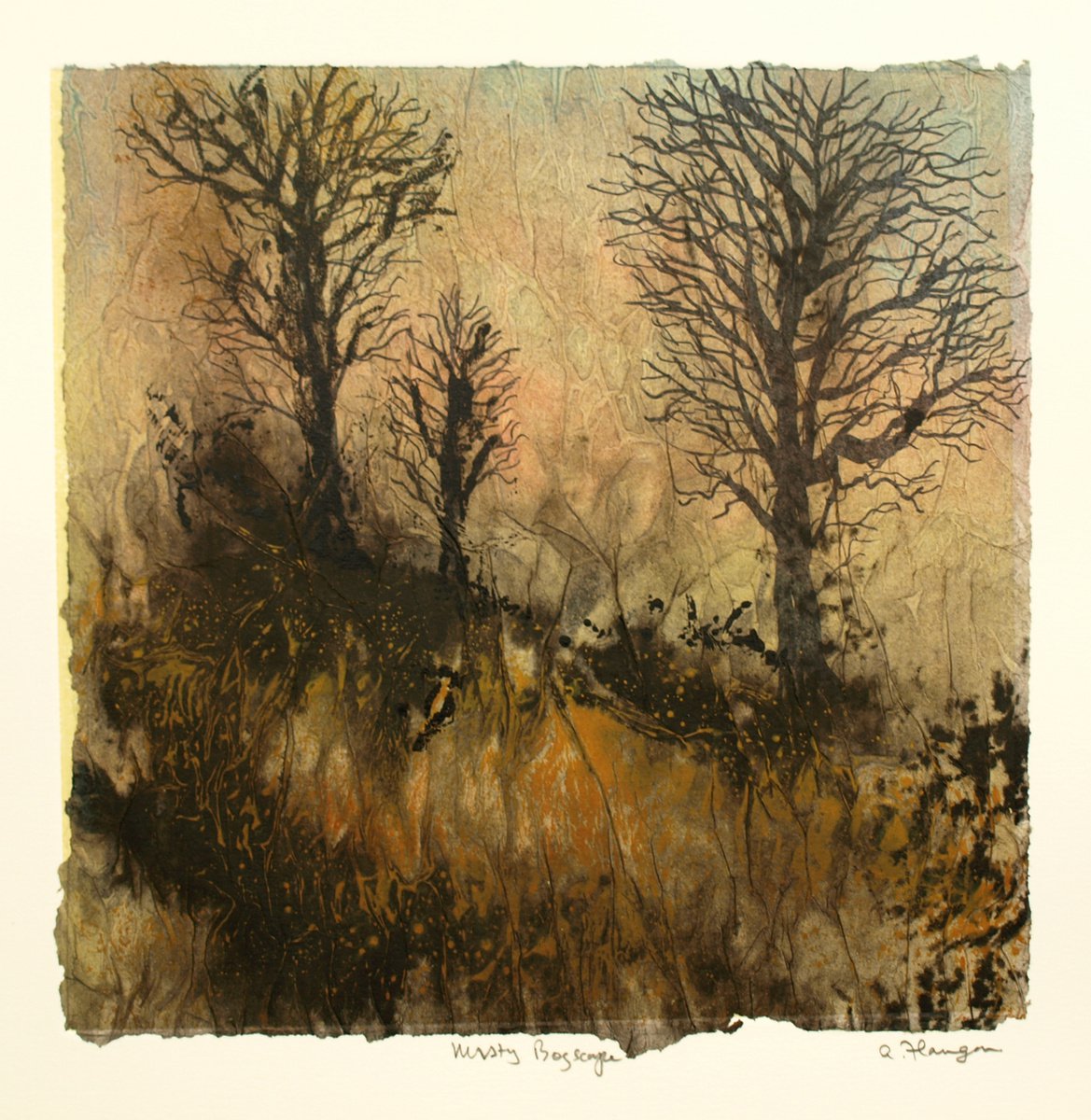 Misty Bogscape 1 by Aidan Flanagan Irish Landscapes