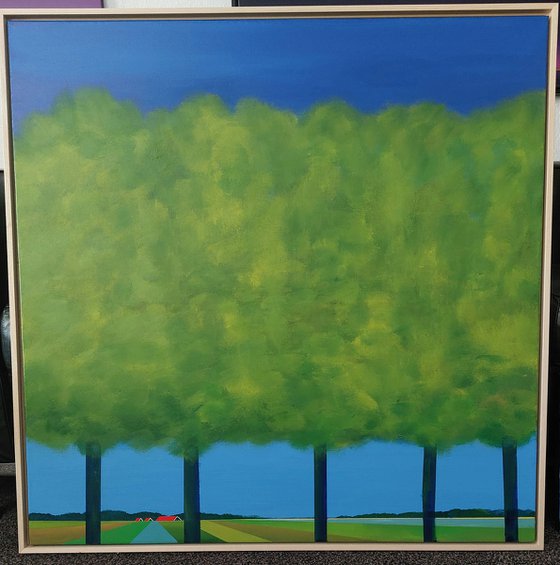 Trees in the polder