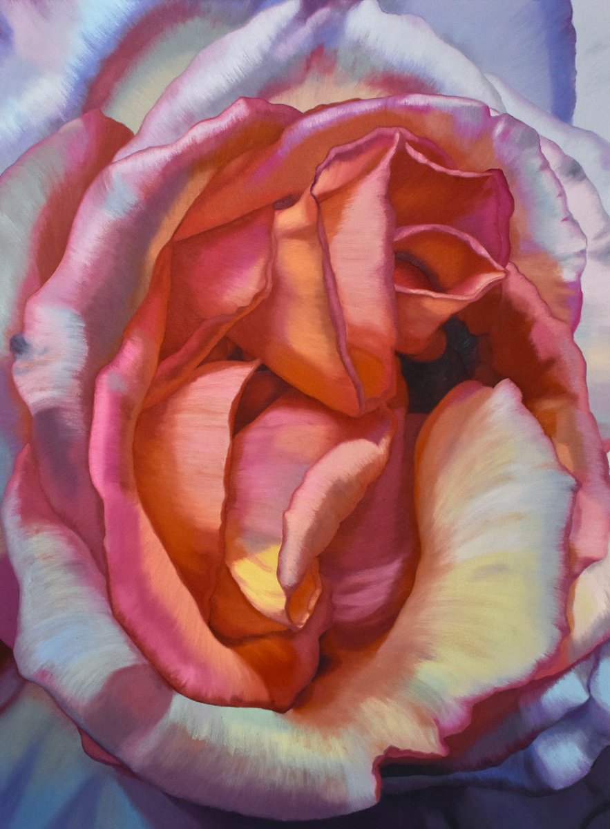 Desert Rose by Chloe Hedden