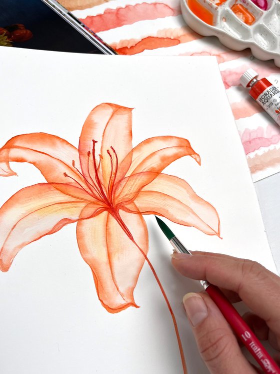 Transparent Tiger Lily