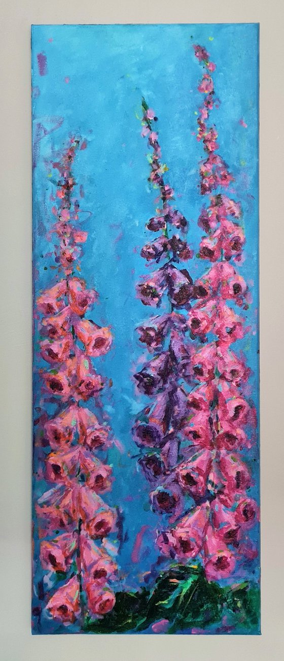 Foxgloves