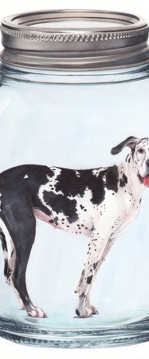 Great Dane in Jar III by REME Jr.