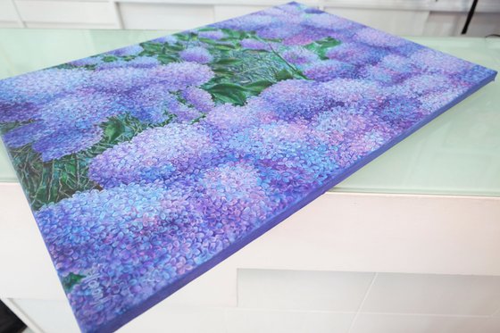 Sea of Lilacs