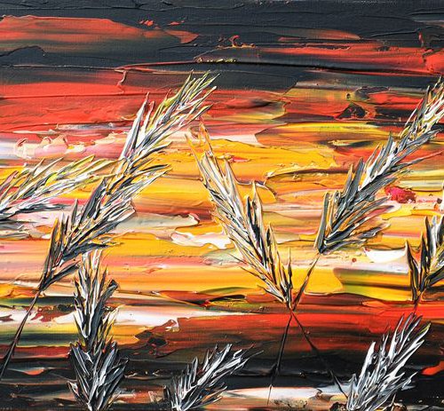 Red Sunset In The Grass by Daniel Urbaník