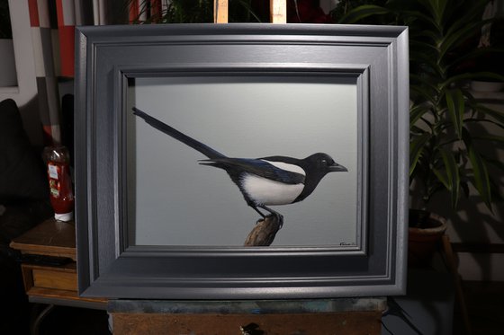 Magpie 2, Oil Painting, Bird Artwork, Animal Art Origina, Not Print