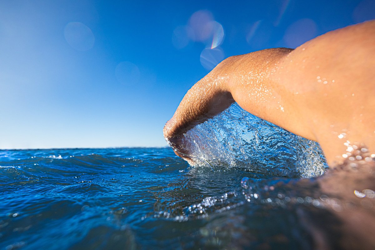 Open Water Swimming - II by Robert Houser