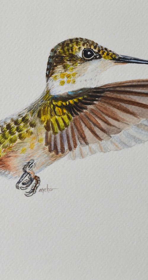 Bird In Flight by Neha Soni