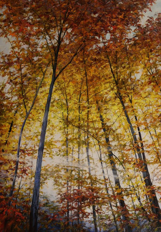 "Light Between the Trees"