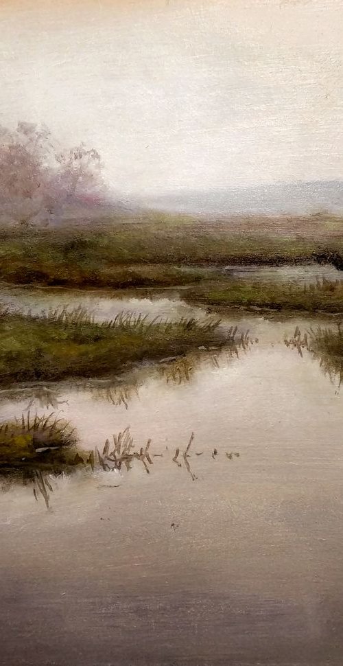 Marsh meadows2 by Vishalandra Dakur