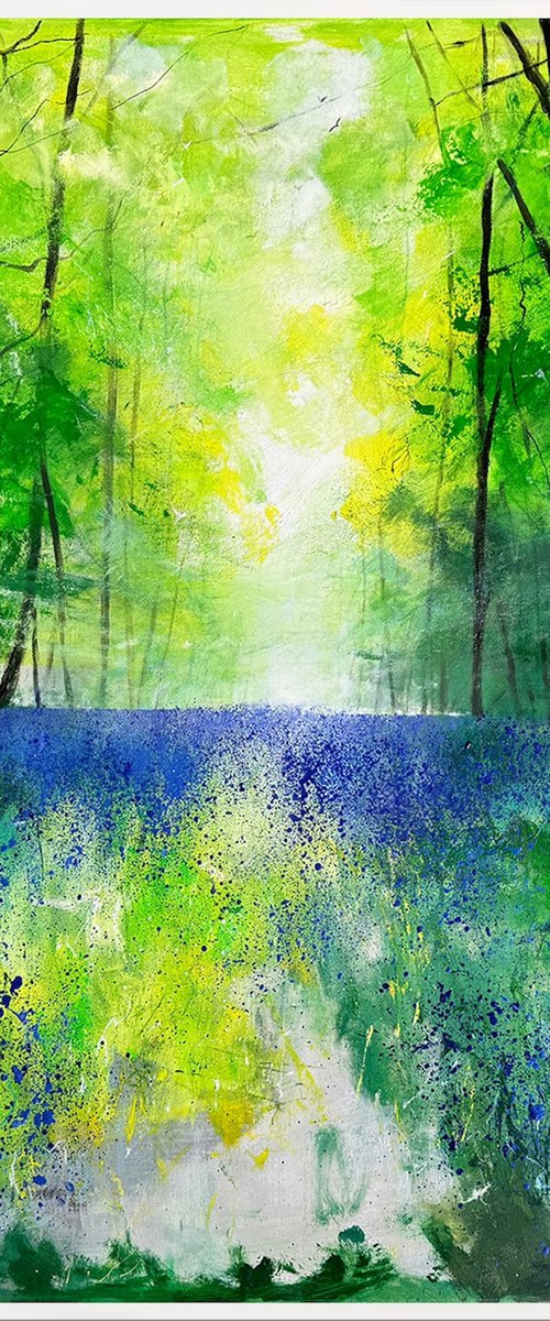 Misty Spring Woodland Bluebells by Teresa Tanner