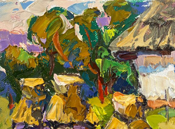 Quiet summer morning