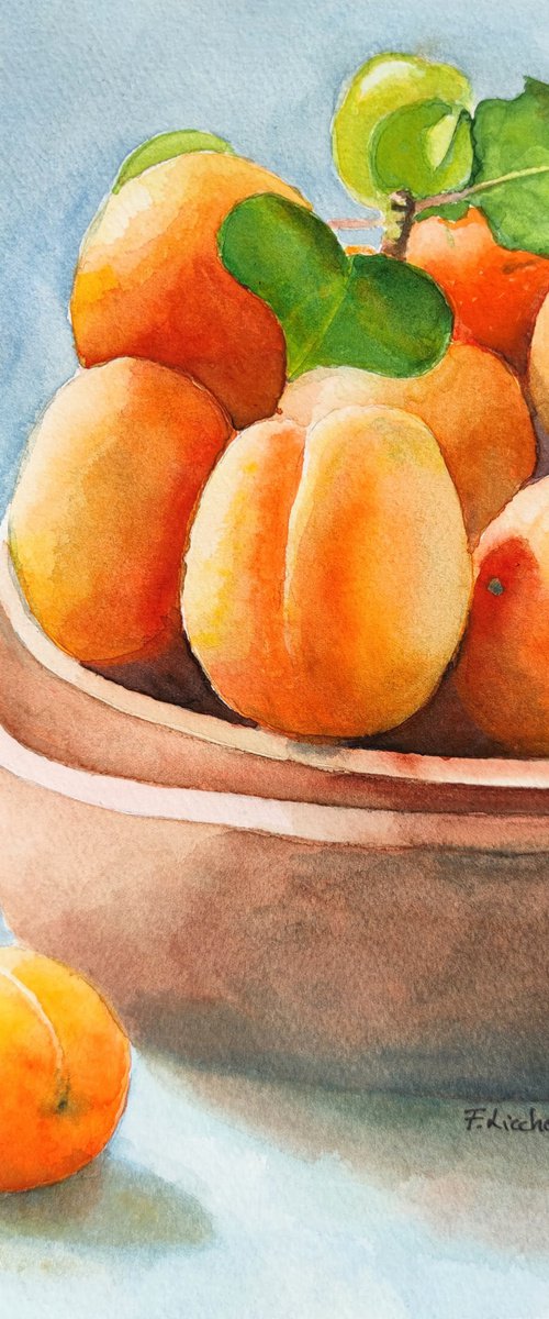 Apricots by Francesca Licchelli