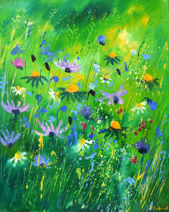 Summer wild flowers